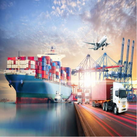 Import & Export